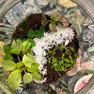 TERRARIUM WORKSHOP / SAT MAY 10TH / 1-2.30PM